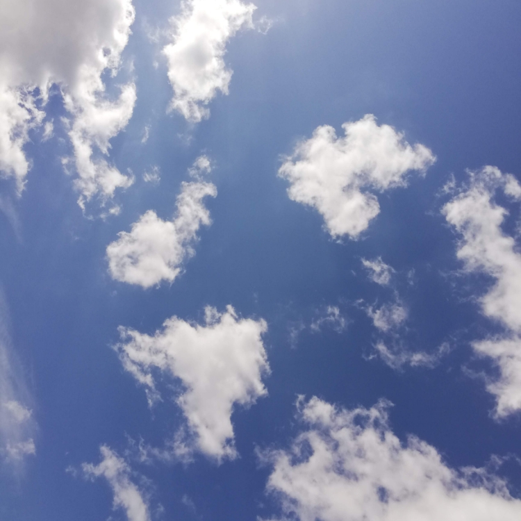 Overflows 言葉にできなくて Mige